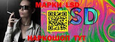 хмурый Сланцы