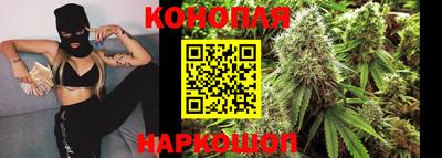 хмурый Сланцы