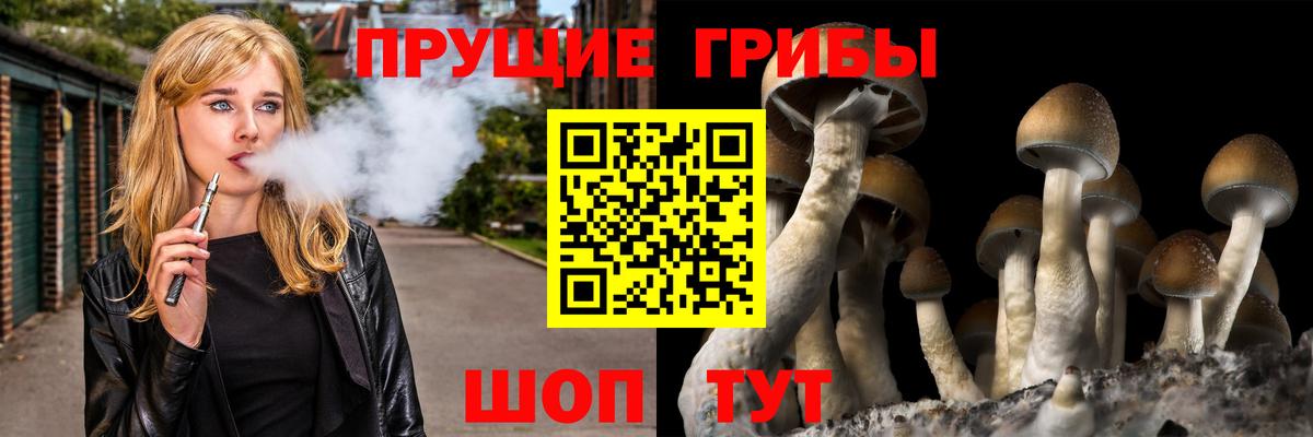 Галлюциногенные грибы мухоморы  Вход с VPN  Галлюциногенные грибы Magic Shrooms  Протвино 